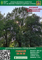 Брянский «Ясень-великан» борется за звание "Российское дерево года 2021!"